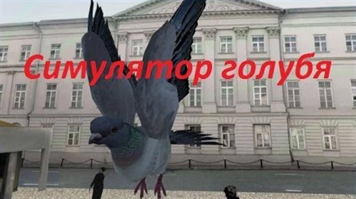 Симулятор Голубя 3D
